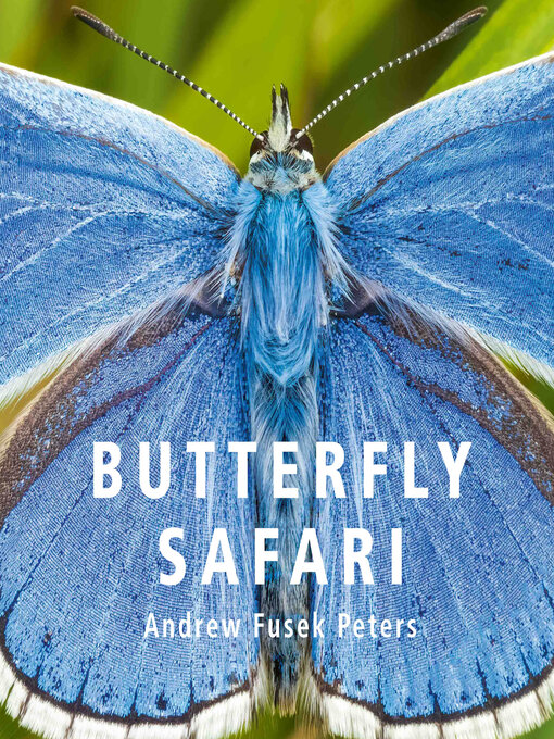 Title details for Butterfly Safari by Andrew Fusek Peters - Available
